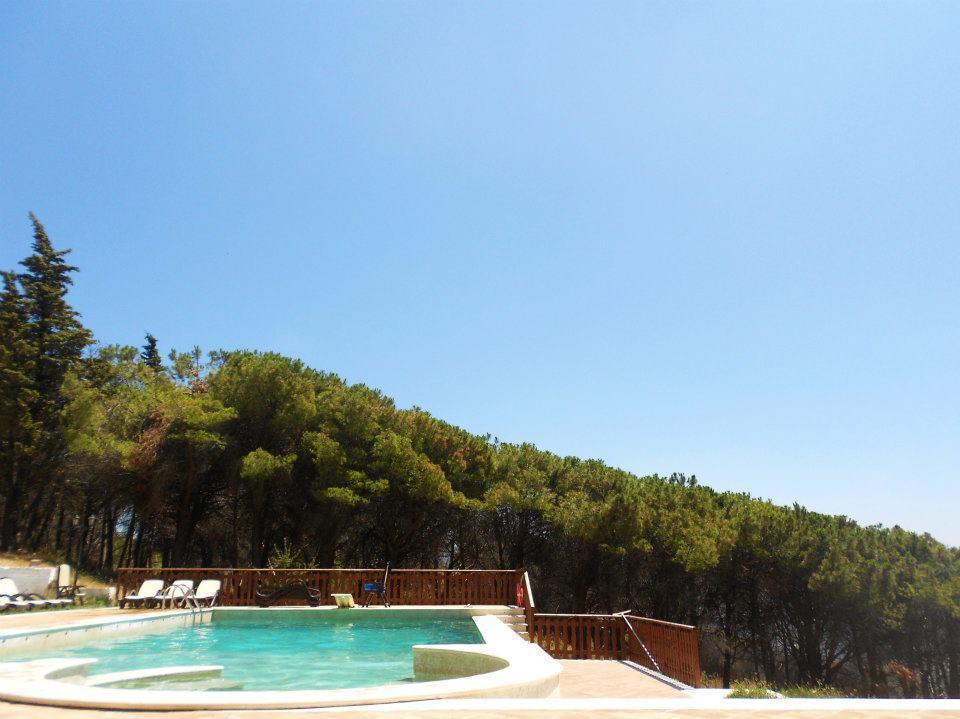 Agriturismo Collecammino Villa Lenola Bagian luar foto